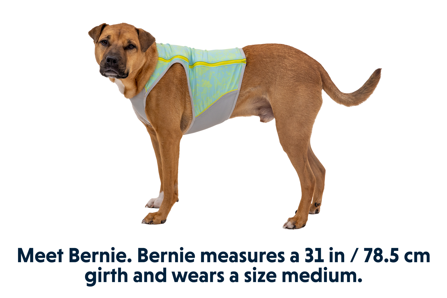 Swamp Cooler Zip™ Cooling Dog Vest