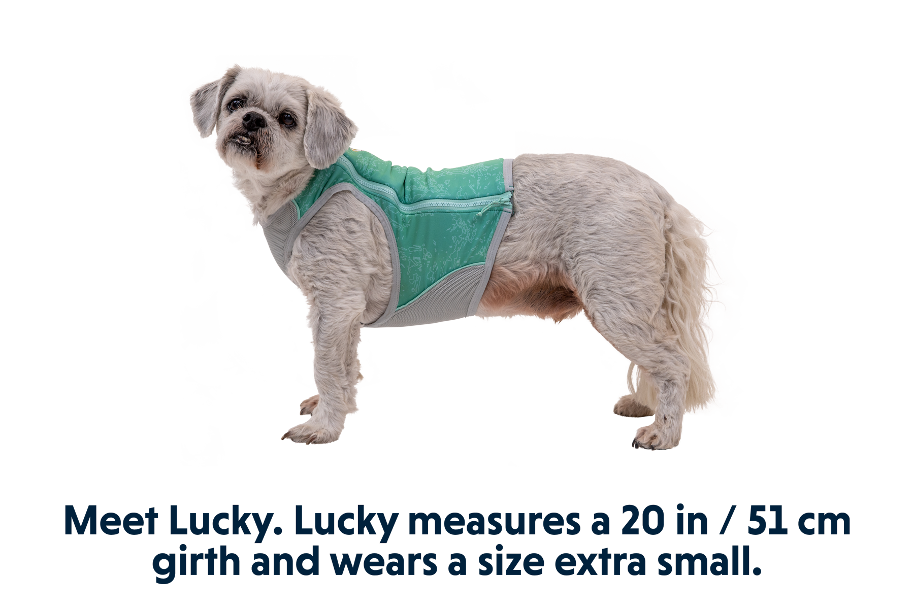 Swamp Cooler Zip™ Cooling Dog Vest