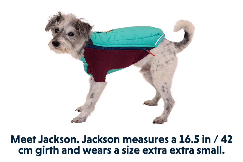 Powder Hound™ Dog Jacket