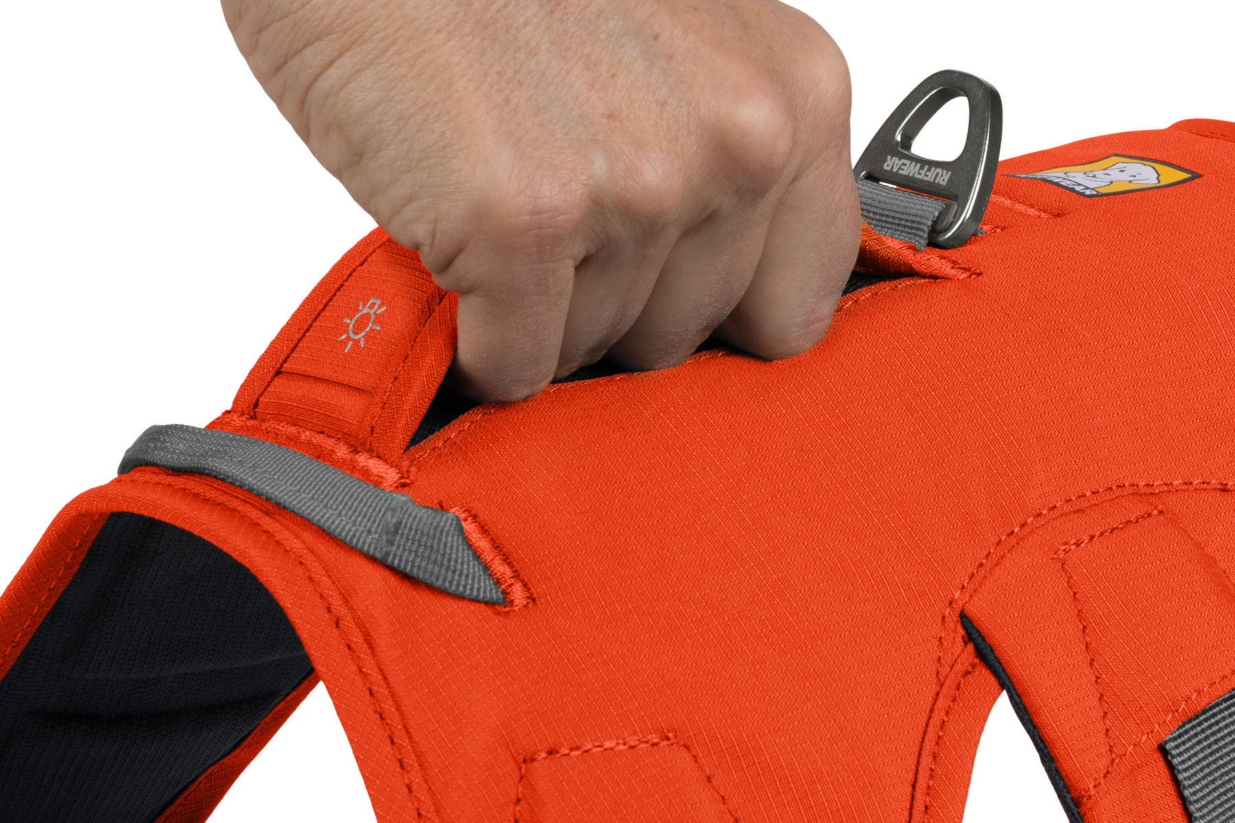 Web Master™ Dog Harness