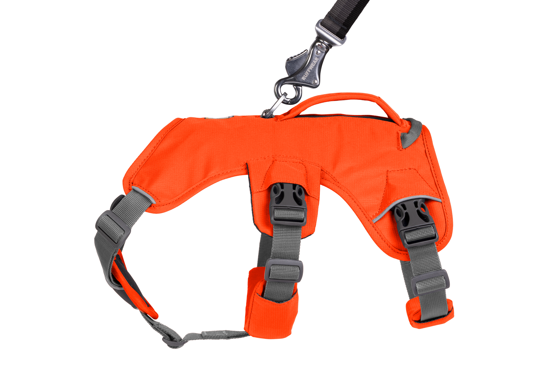 Web Master™ Dog Harness
