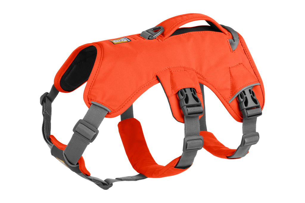 Web Master™ Dog Harness
