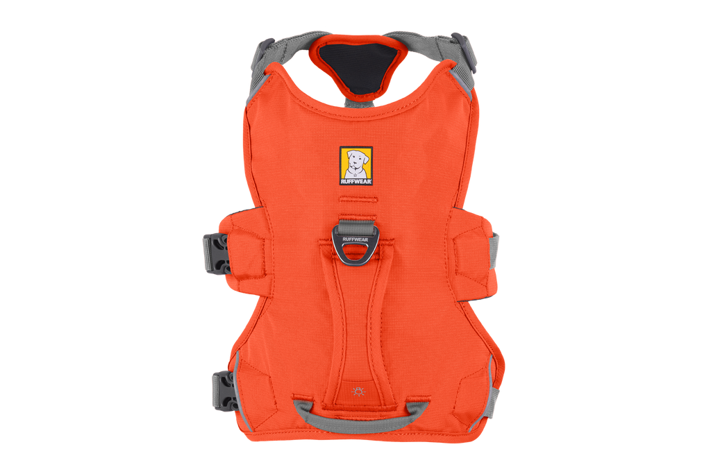 Web Master™ Dog Harness