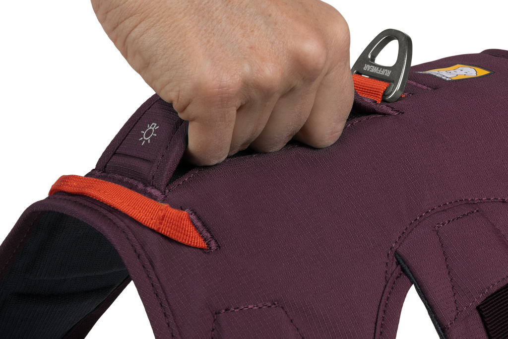 Web Master™ Dog Harness