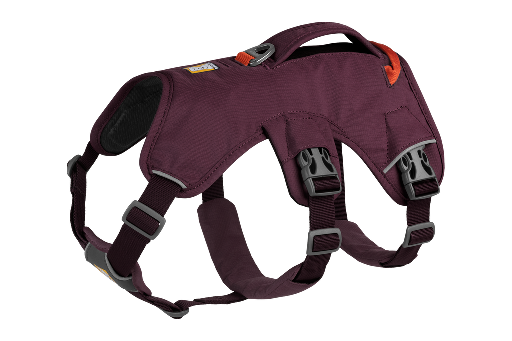 Web Master™ Dog Harness