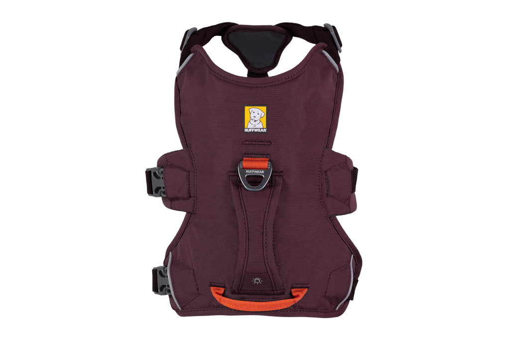 Web Master™ Dog Harness