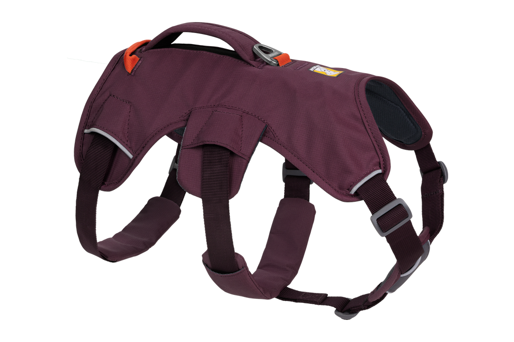 Web Master™ Dog Harness