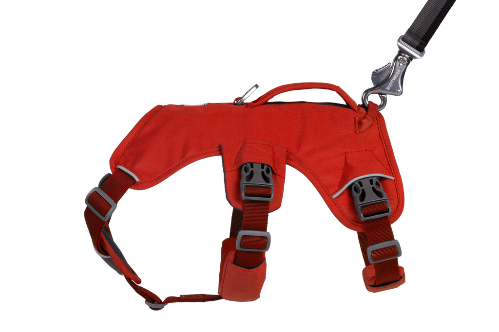 Web Master™ Dog Harness