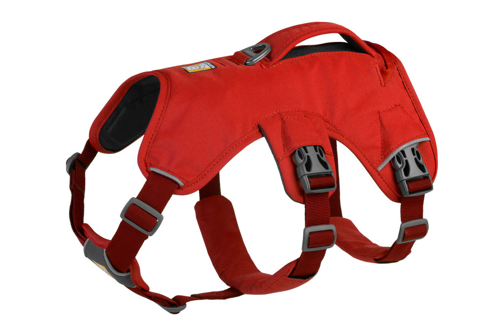 Web Master™ Dog Harness