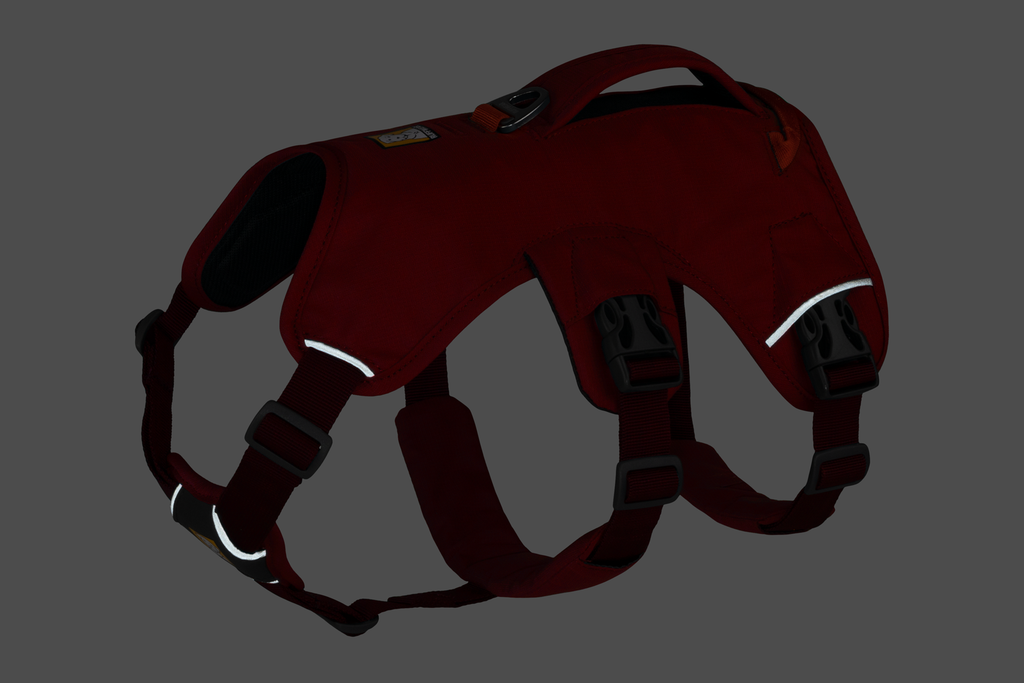 Web Master™ Dog Harness