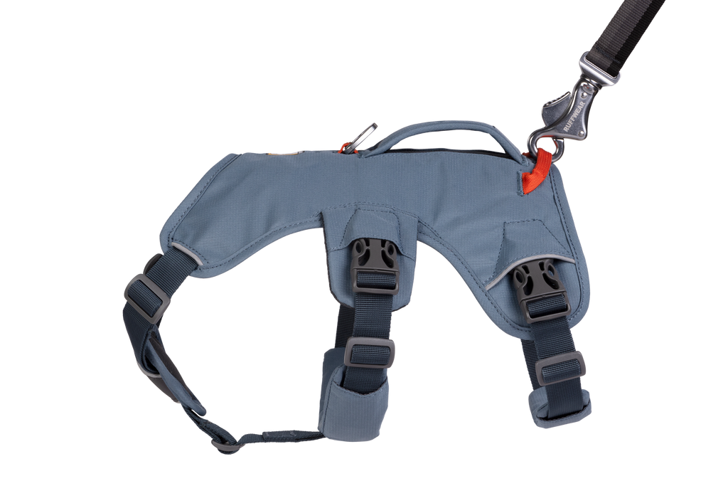 Web Master™ Dog Harness