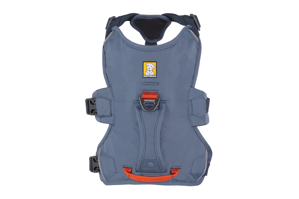 Web Master™ Dog Harness