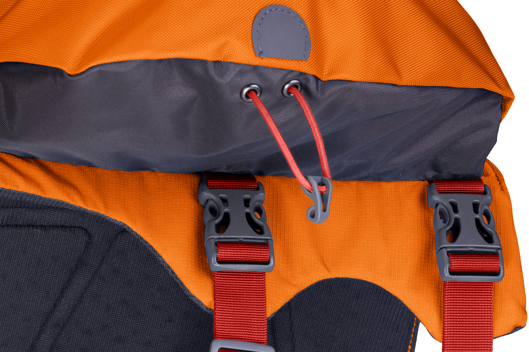 Approach™ Dog Backpack