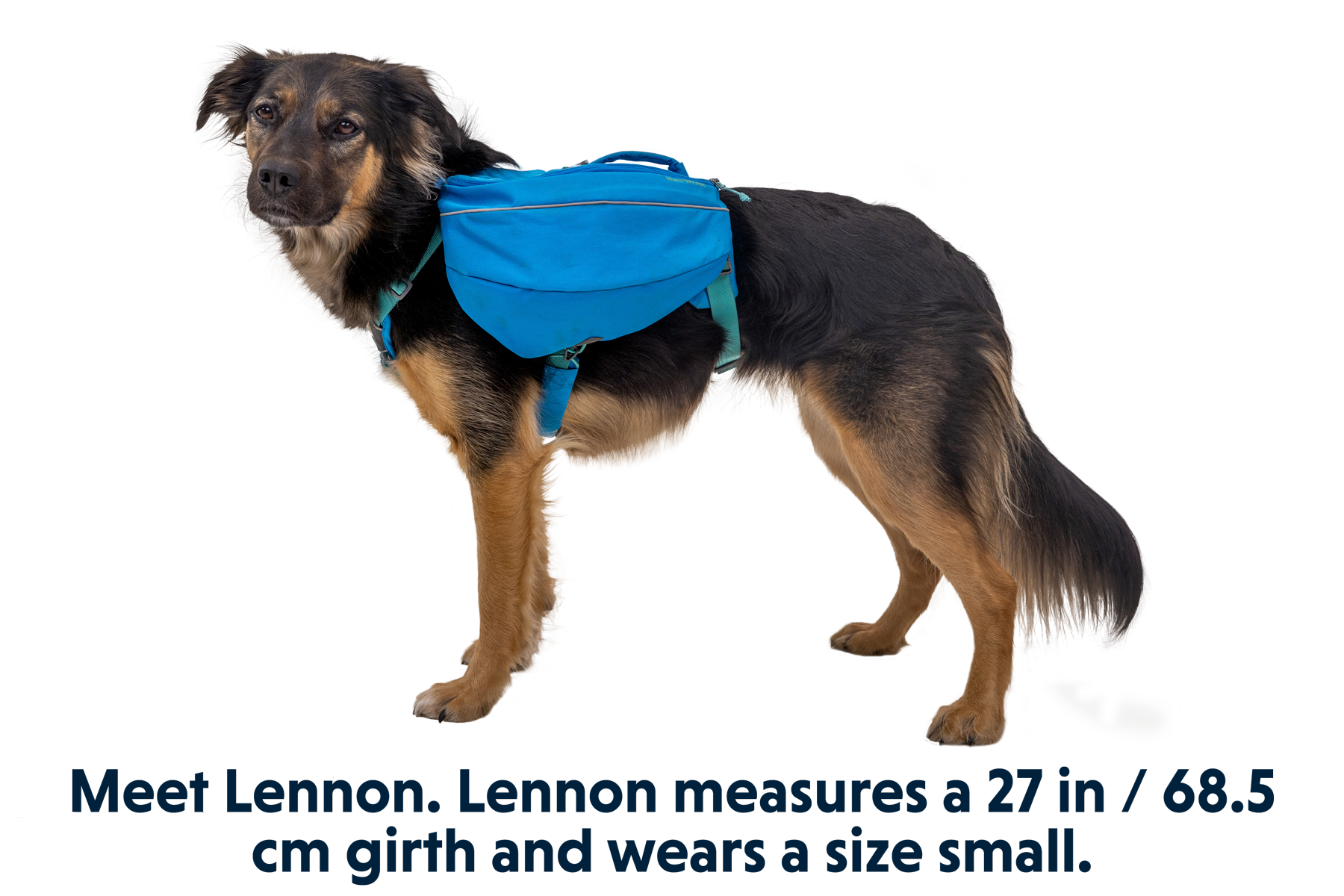 Approach™ Dog Backpack