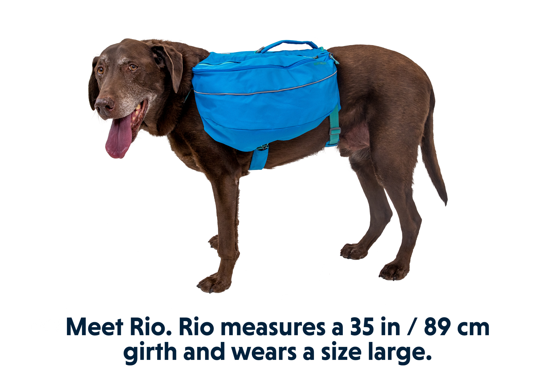 Approach™ Dog Backpack