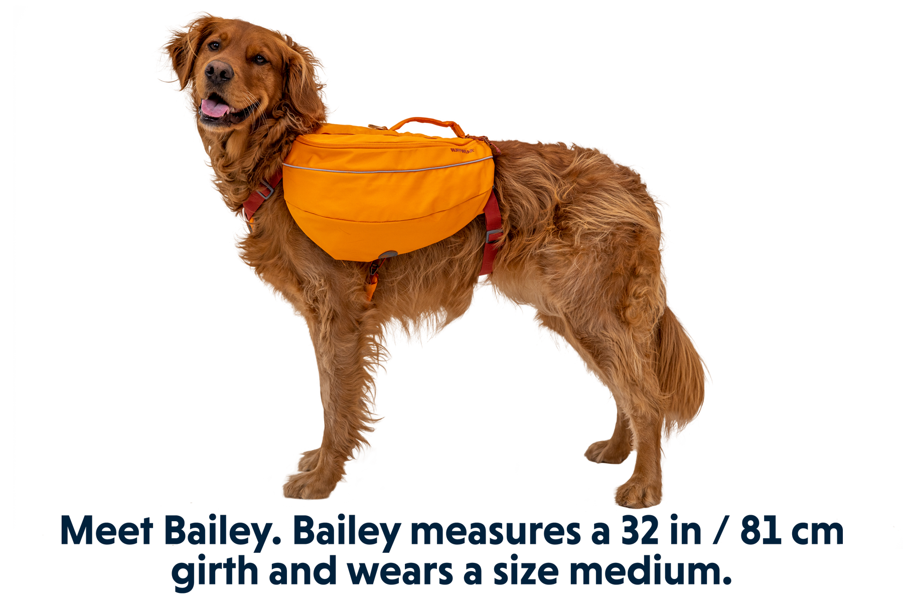 Approach™ Dog Backpack