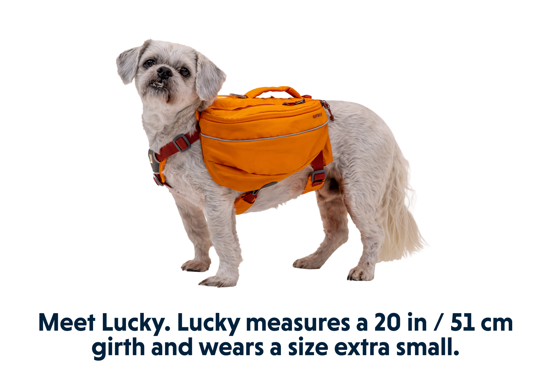 Approach™ Dog Backpack