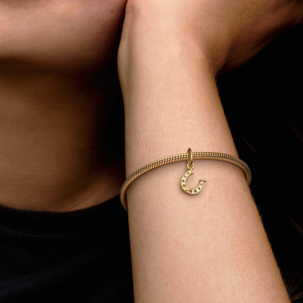 Pandora Lucky Horseshoe Dangle Charm