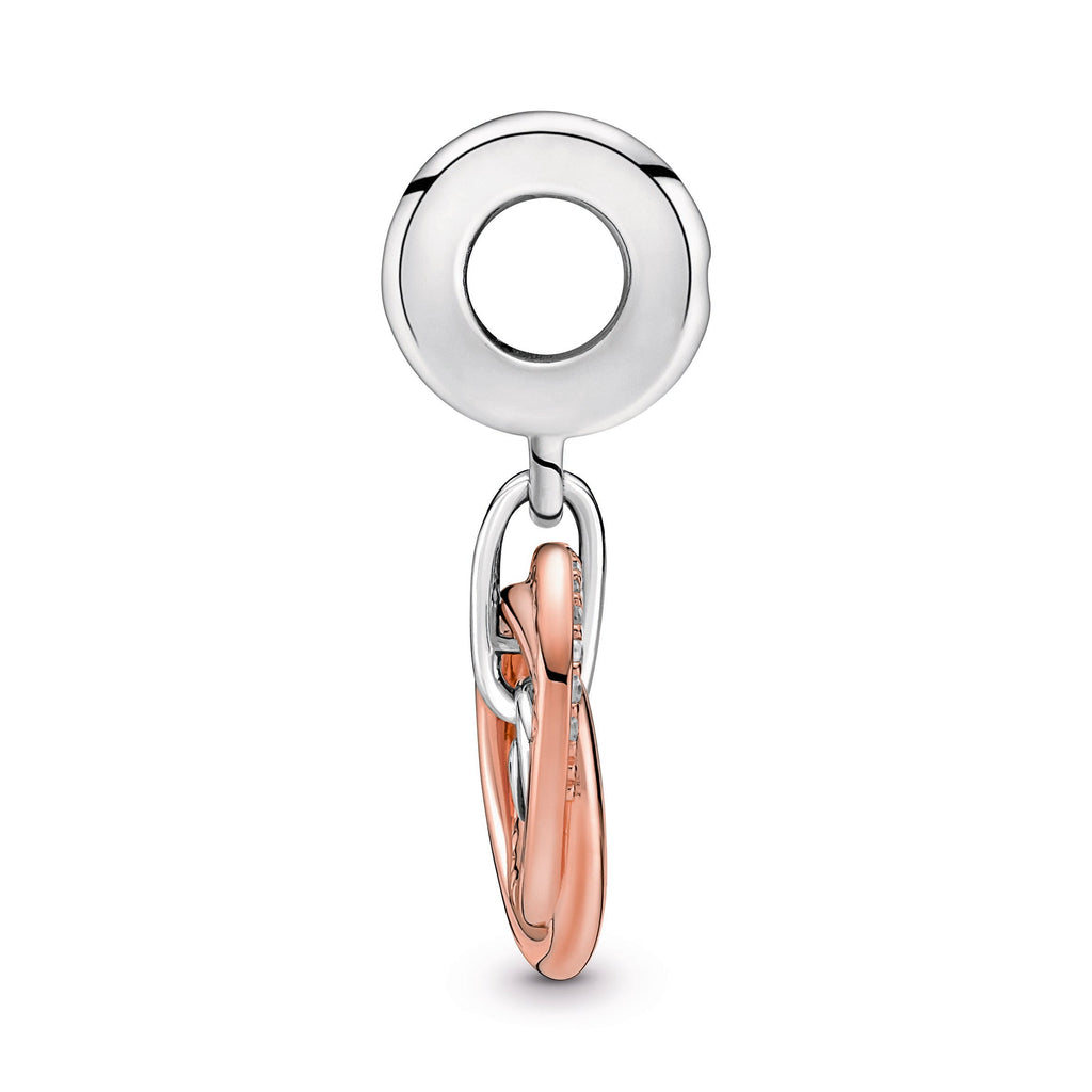 Pandora Family Always Encircled Dangle Charm