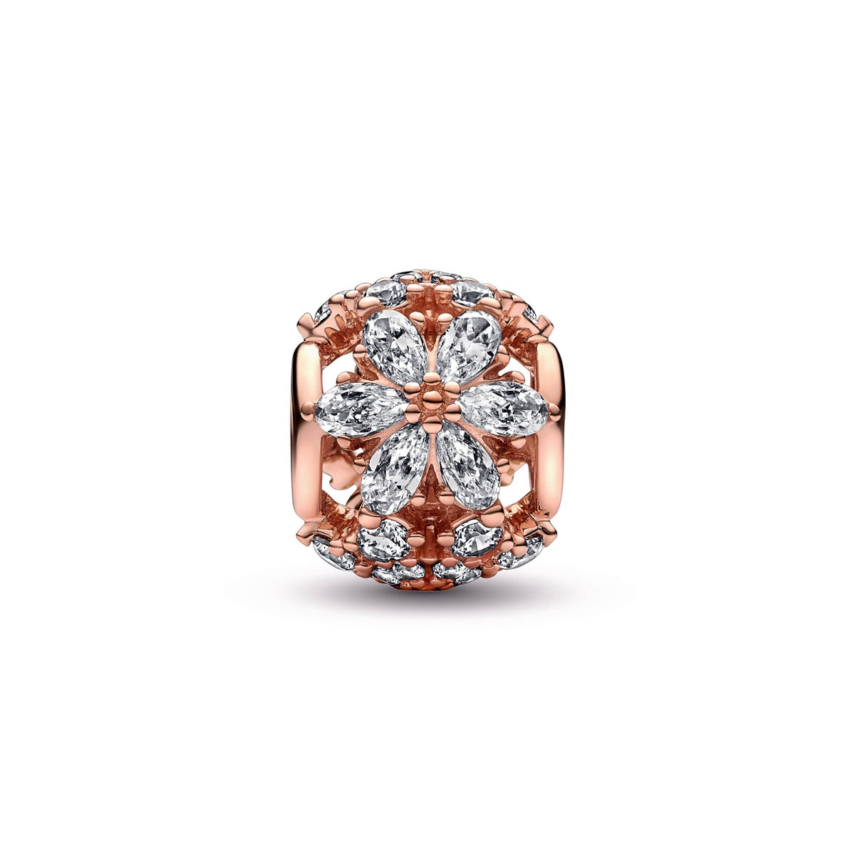 Pandora Sparkling Herbarium Cluster Round Charm