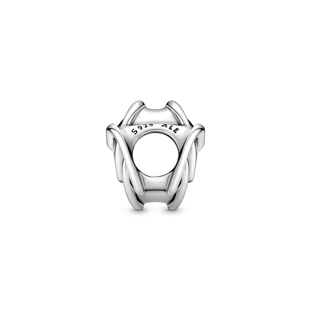 Pandora Family Always Encircled Heart Charm