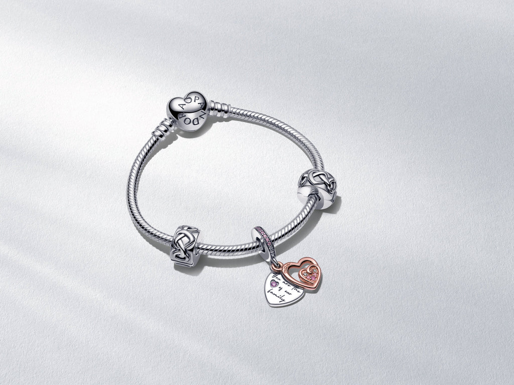Pandora Entwined Infinite Hearts Full Bracelet Gift Set
