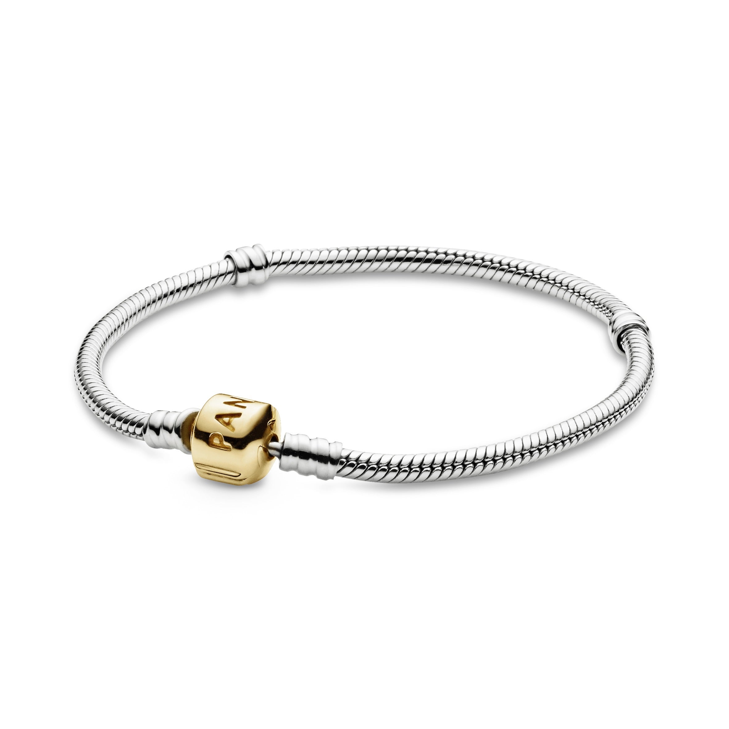 Pandora Charm Bracelet