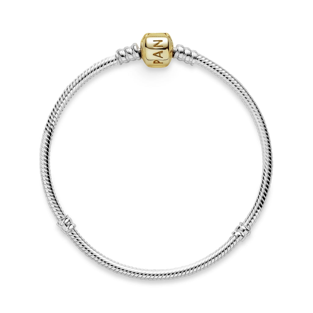 Pandora Charm Bracelet