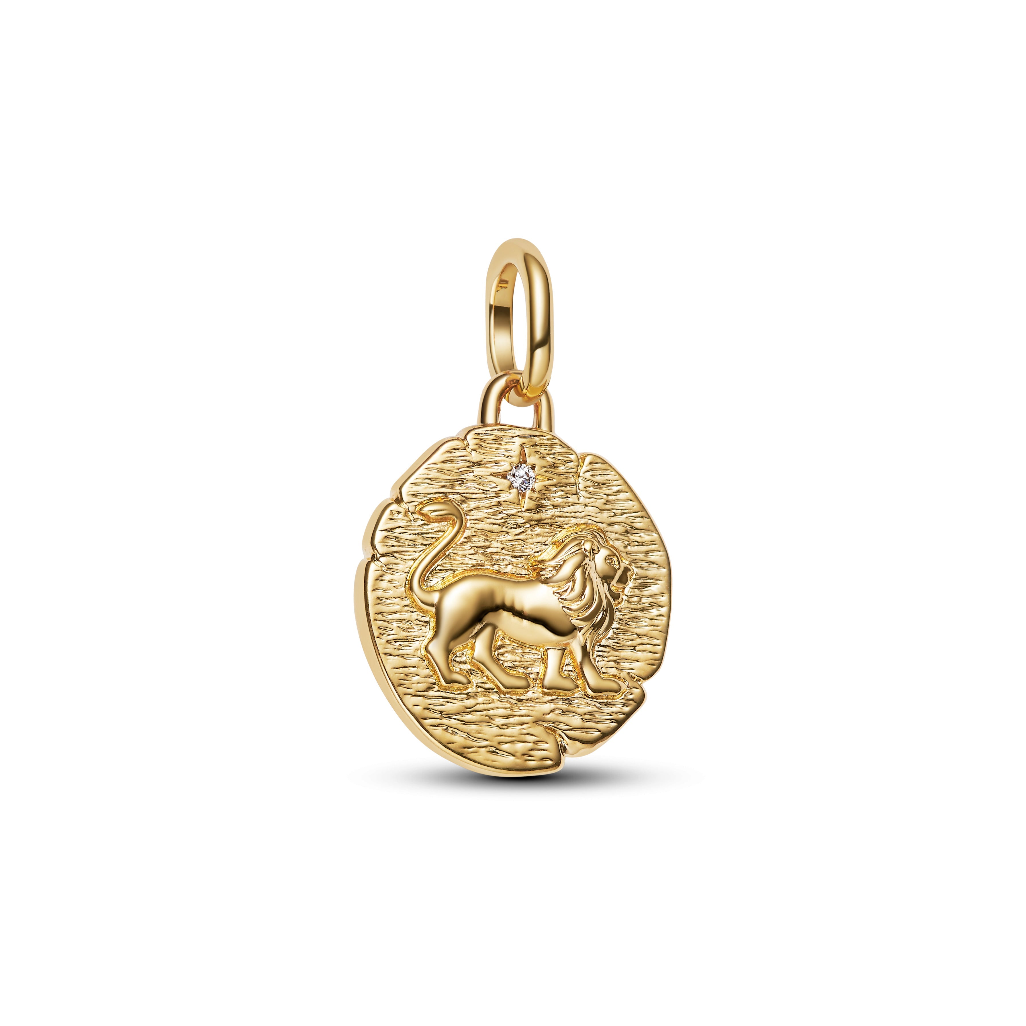 Pandora Lion Medallion Charm