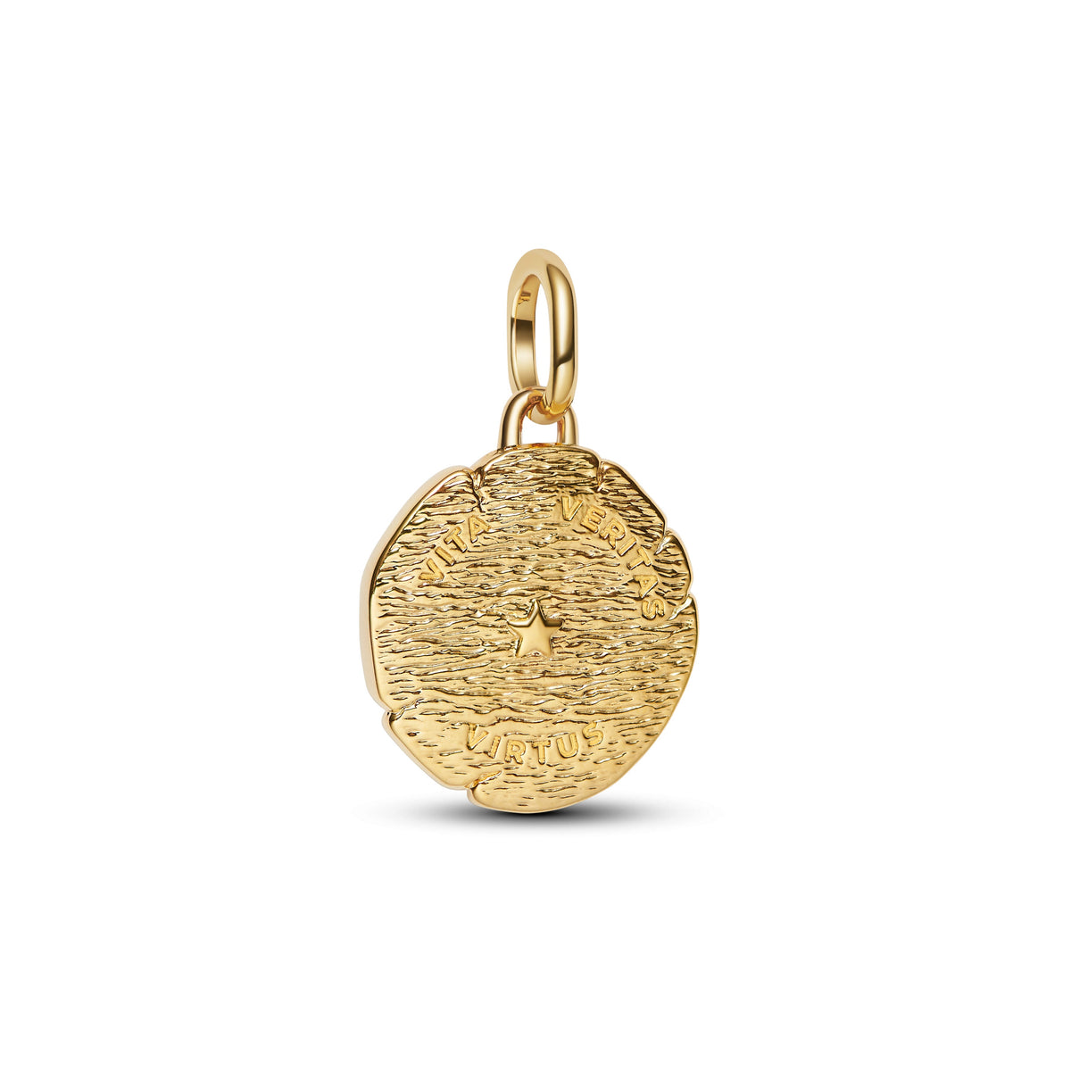 Pandora Lion Medallion Charm