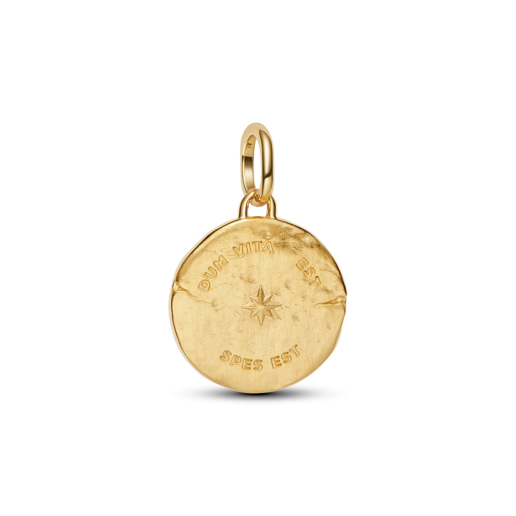 Pandora Swallow Medallion Charm