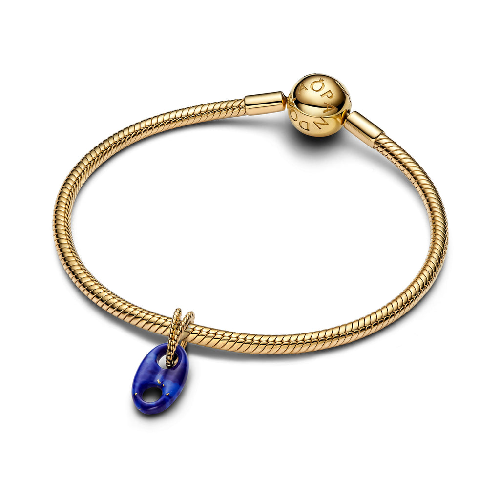 Pandora Mariner Link Dangle Charm